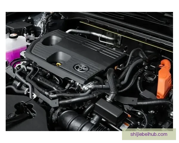 2026年世界杯开赛时间正式揭晓 全面了解赛事首日安排