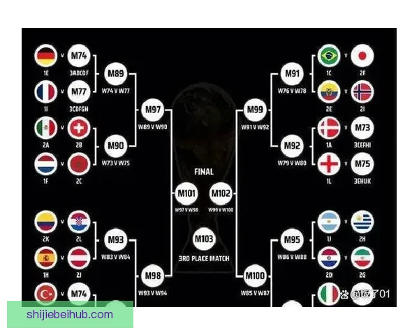 2026年世界杯举办国及赛事安排全面解析与展望