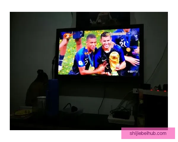 世界杯足球竞猜投注技巧揭秘助你轻松赢取大奖快来参与精彩赛事预测挑战